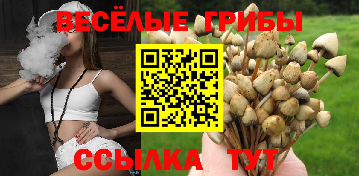 Псилоцибиновые грибы Psilocybe Асбест