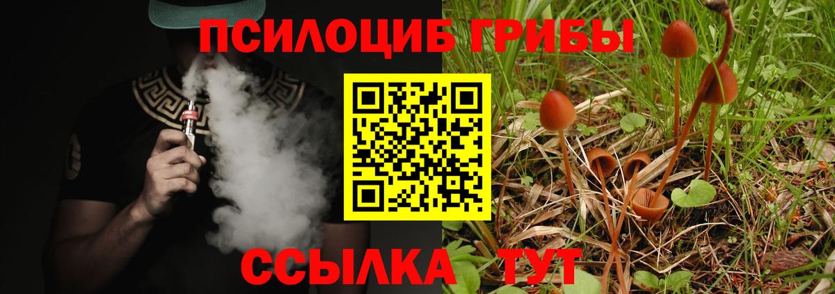А ПВП Асбест